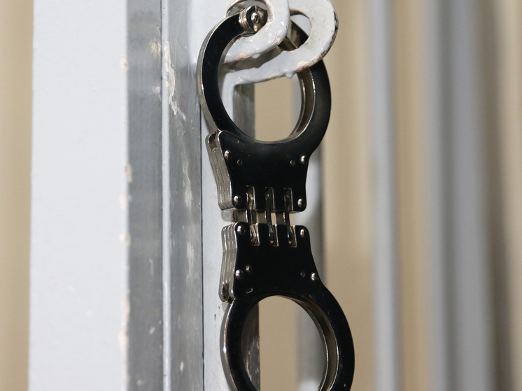 Латвийский «языковой» барьер: арест историка Гущина и шлейф русофобских обвинений Латвийский «языковой» барьер: арест историка Гущина и шлейф русофобских обвинений