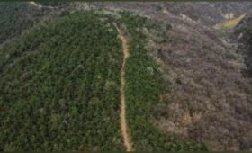 Находка древней супермагистрали в Китае способна поменять историю инженерии