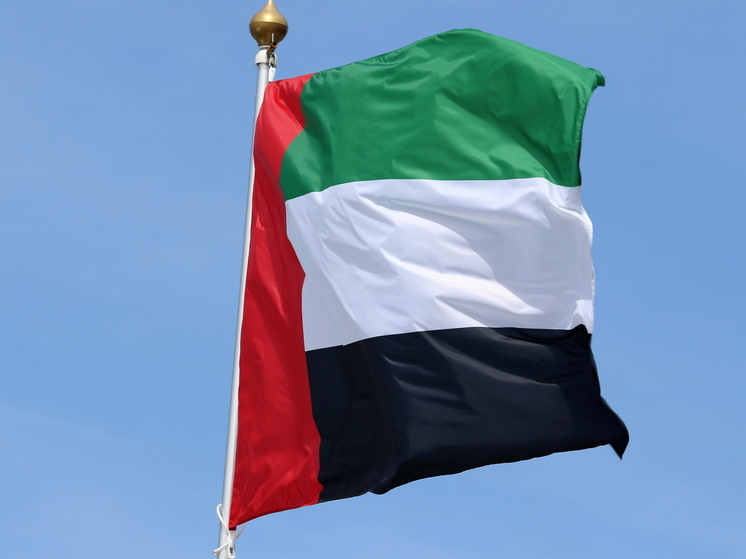 Пополнился список государств, осудивших попытку ВСУ атаковать резиденцию Путина