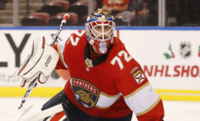 Кучерова и Бобровского возненавидела вся Канада