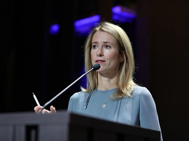 Не можешь предотвратить, возглавь: Каллас берет на себя борьбу с американской угрозой Не можешь предотвратить, возглавь: Каллас берет на себя борьбу с американской угрозой