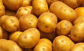 Россия стала третьей по дешевизне картошки в G-20: считать ли это достижением