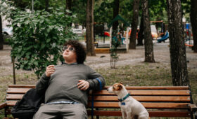 Собака переиграла звезд в сериале «Жека Рассел»