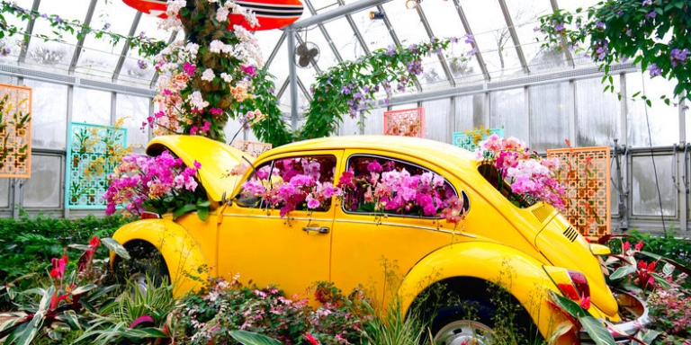 Средиземноморская диета русской зимой: врач назвала доступные продукты, продлевающие жизнь