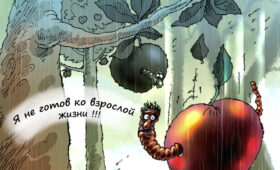 Три аренды дешевле одной ипотеки: почему молодежь отказывается приобретать свое жилье