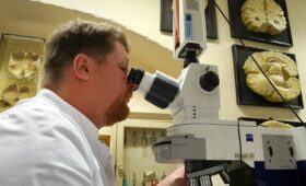 Ученые нашли вещество, побеждающее агрессию при болезни Альцгеймера