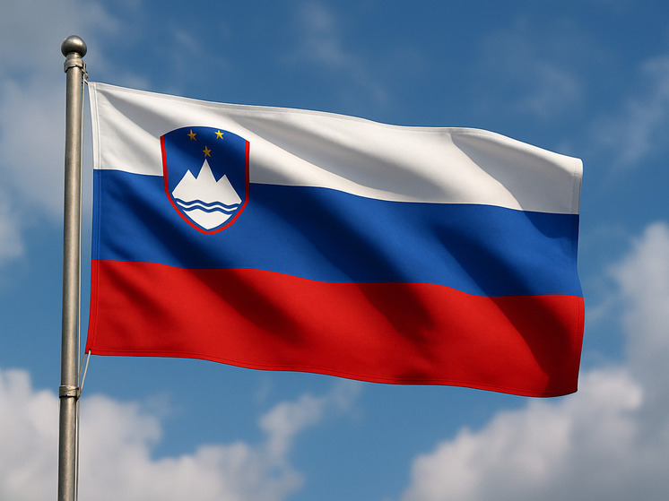 В Словении на выборах победила партия власти В Словении на выборах победила партия власти