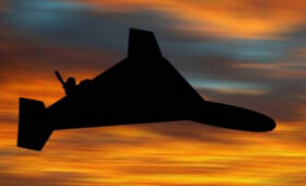 Военкор рассказал об ударе по французам в Житомирской области