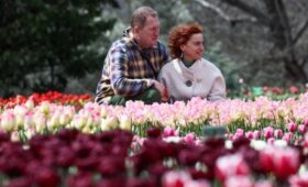 Врач объяснила, почему нельзя тянуть с аллергией