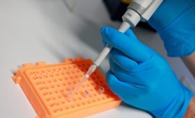 Анализ ДНК из гробницы показал генетический разрыв, уничтоживший целые сообщества