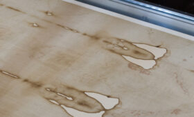 Анализ ДНК углубил тайну Туринской плащаницы