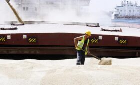 «Ця пшеныця наша!»: Обычный гешефт люто взбесил Киев