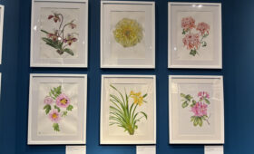 Из Москвы — в Поднебесную: неожиданная выставка о Китае в «Коломенском»