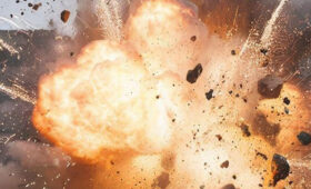 Луцк, Житомир, Кривой Рог посетили «Герани»: первый ответ за Усть-Лугу