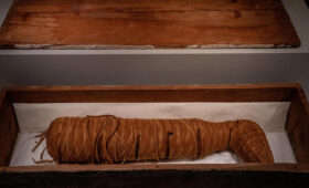 Мумия «читала» Гомера: археологи вскрыли саркофаг и наткнулись на античный бестселлер