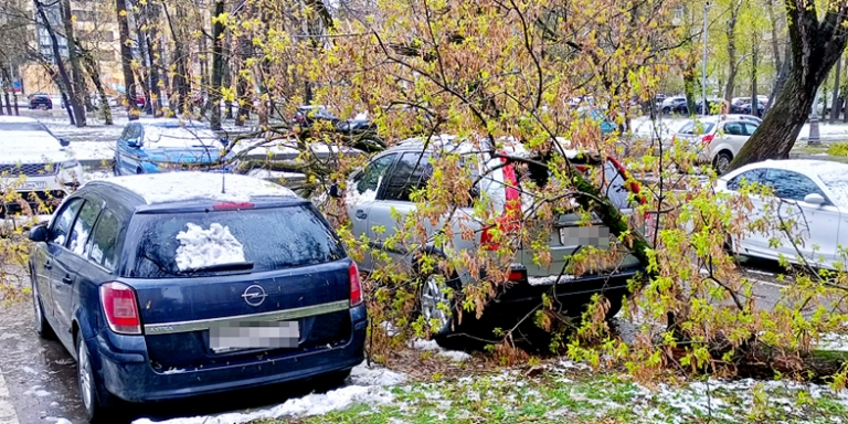 Профилактика ССЗ: что спасает сердце после 50