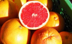 Стало известно, почему грейпфрут нельзя сочетать с лекарствами