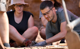 Учёные обнаружили грызшего кости осьминога размером с грузовик: охотился на огромных рептилий