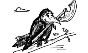 Утро вечера…