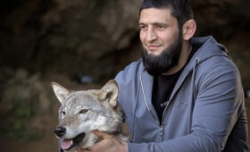 В RAF высказались о первой схватке Чимаева