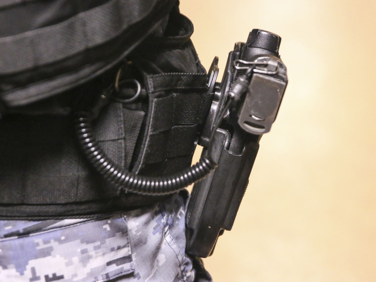 В российском регионе задержана агент Киева