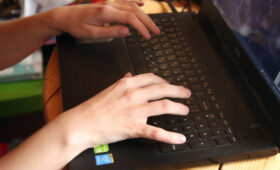 «Заготовили источник высококачественного навоза»: Россия и КНДР будут вместе бороться с фейками