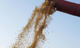 Строительный конфликт в Ленинградской области
